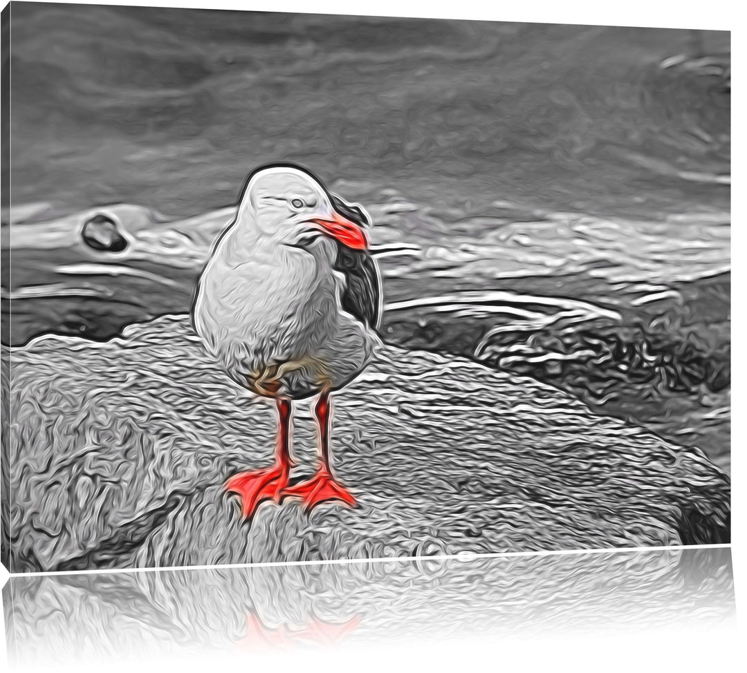kleine Möwe auf Felsbrocken schwarz/weiss Deluxe Format: 100x70 cm auf Leinwand, XXL riesige Bilder