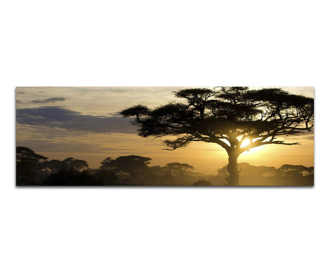 Paul Sinus Art Panoramabild auf Leinwand und Keilrahmen 120x40cm Afrika Landschaft Bäume Sonnenunter