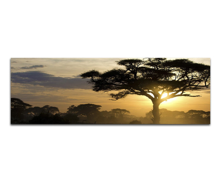 Paul Sinus Art Panoramabild auf Leinwand und Keilrahmen 120x40cm Afrika Landschaft Bäume Sonnenunter