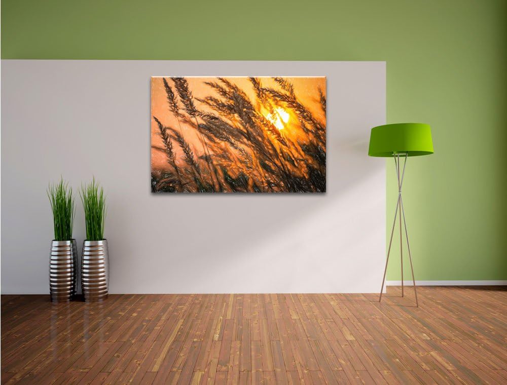 Pixxprint Schilf als Leinwandbild/Grösse: 100x70 / Wandbild/Kunstdruck/fertig bespannt, 100x70