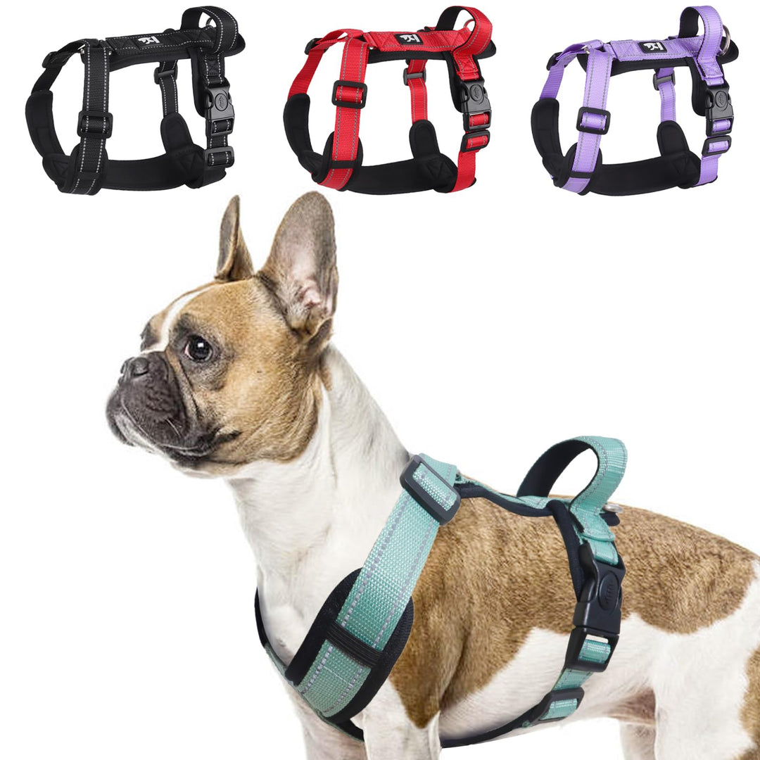 Hundegeschirr Grün XL - Brustgeschirr Hund Mittel Reflektierend Anti zieh Hunde Geschirr Hund Zugges