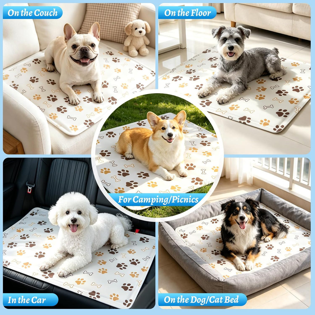 Kühlmatte für Hunde &amp; Katzen Faltbare, Kühlmatte Hund 60 x 50 cm, Kühldecke für Haustiere Leicht Rei