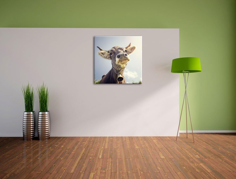 Pixxprint Lustiges Portrait Einer Kuh, Format: 70x70 auf Leinwand, 70x70