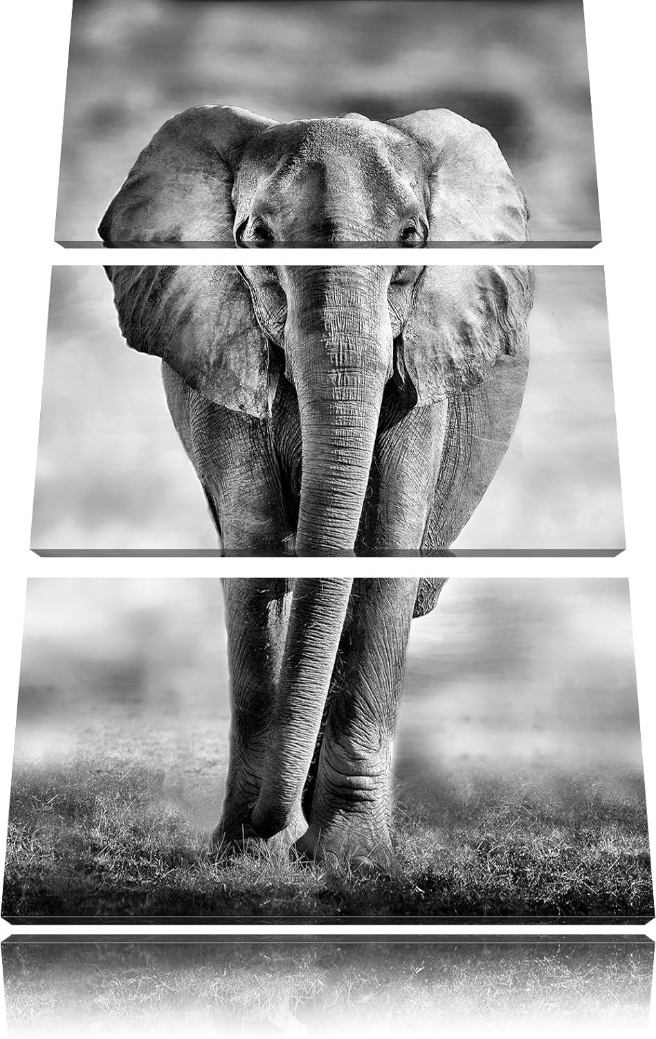 Pixxprint Elefant in Savanne als Leinwandbild/Grösse: 3 Teilig (120x80) cm/Wandbild/Kunstdruck/ferti