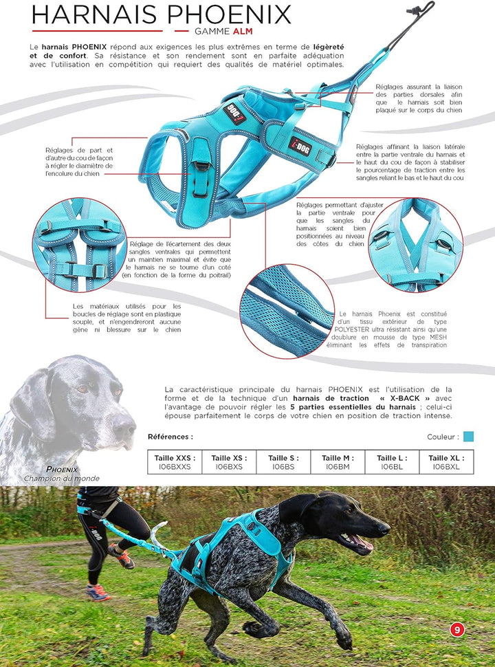 I-dog Verstellbares Geschirr Canicross X-Back Phoenix ALM, Blau (L), L
