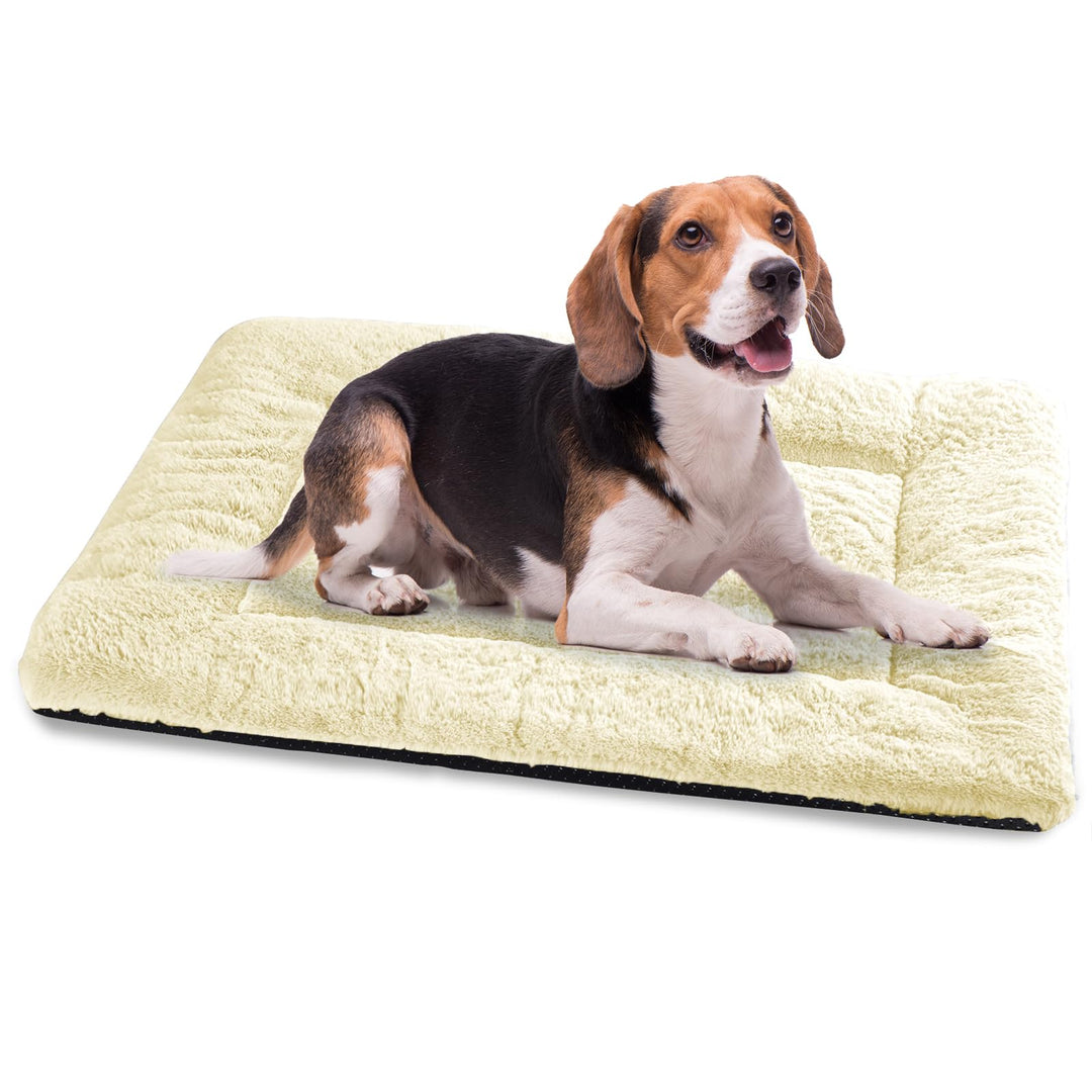 Baodan Waschbar Hundebett Mittelgrosse Hunde - 90x60 cm Hundekissen flauschig Hundedecke rutschfest