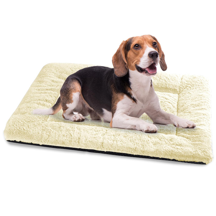 Baodan Waschbar Hundebett Mittelgrosse Hunde - 90x60 cm Hundekissen flauschig Hundedecke rutschfest