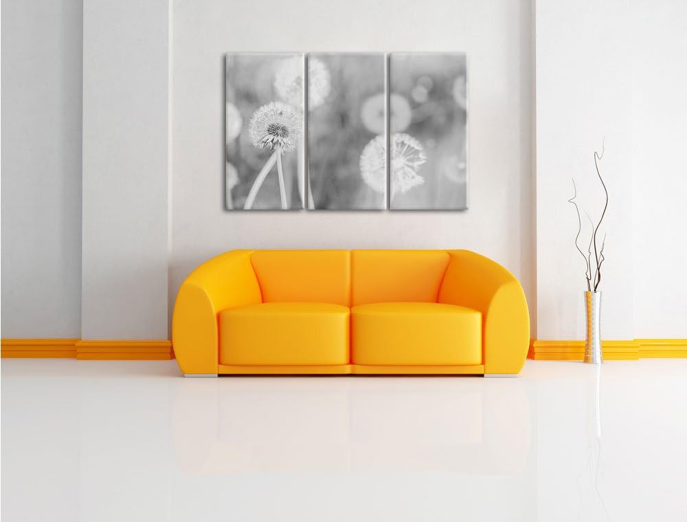 Pixxprint Romantische Pusteblumen Schwarz/Weiss 3-Teiler Leinwandbild 120x80 Bild auf Leinwand
