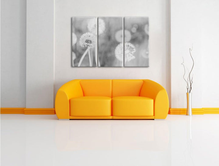 Pixxprint Romantische Pusteblumen Schwarz/Weiss 3-Teiler Leinwandbild 120x80 Bild auf Leinwand