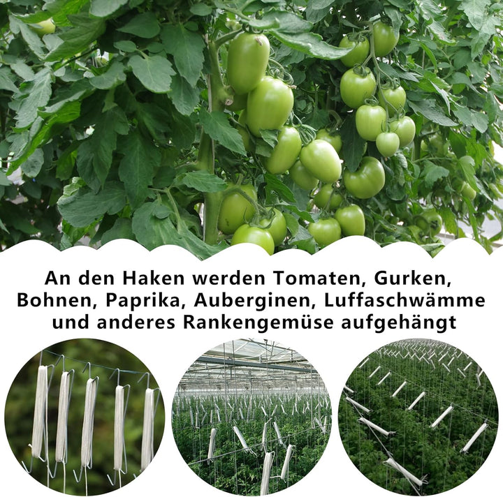 Tomatenhaken mit Schnur, 50Stück Tomatenhaken Metall, Robuster Tomatenhaken | Tomatenhaken mit 100 P