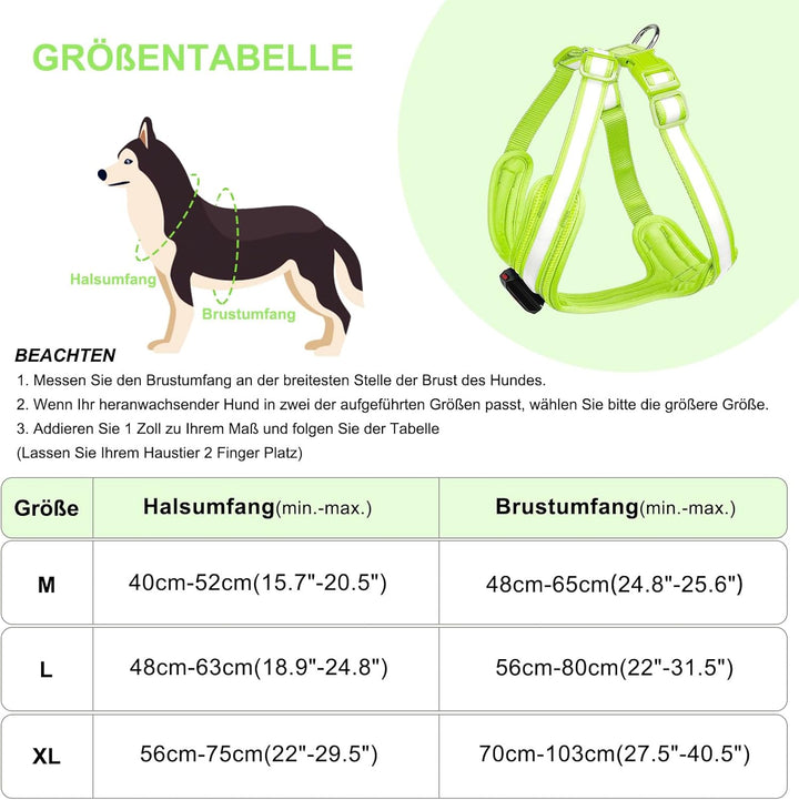 PZRLit Hundegeschirr Leuchtend, Leuchtgeschirr für Hunde Aufladbar, Leuchtendes Hundegeschirr LED, L