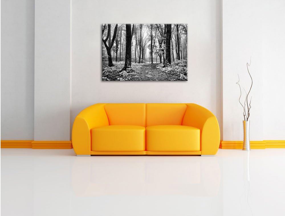 Pixxprint Sonniger Weg im Wald / 100x70cm Leinwandbild bespannt auf Holzrahmen/Wandbild Kunstdruck D