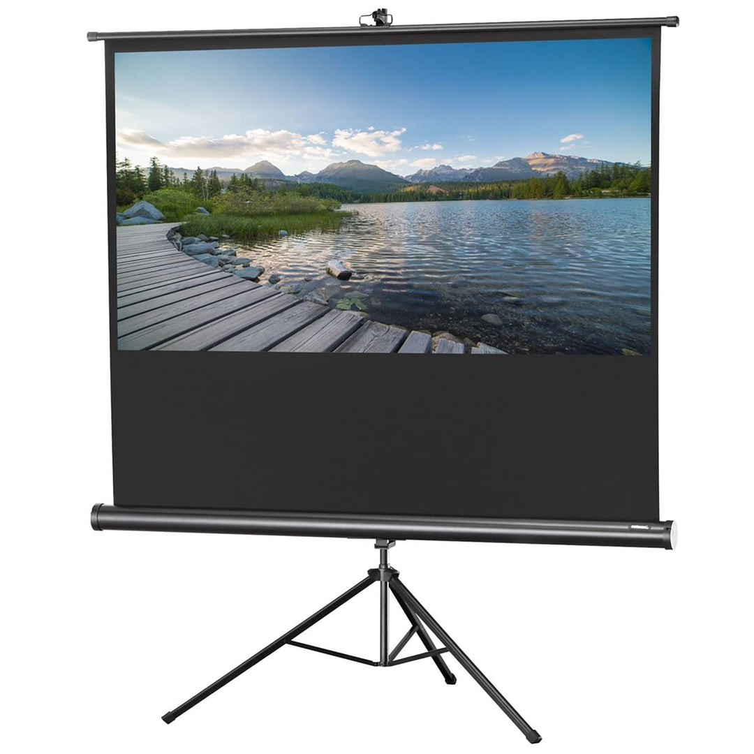 celexon tragbare Beamer-Leinwand mit vormontiertem Ständer Mobile Stativ-Leinwand mit Tragegriff Sch