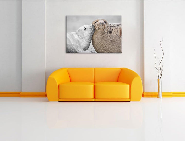 süsse Robben schmusen schwarz/weiss Format: 100x70 auf Leinwand, XXL riesige Bilder fertig gerahmt m