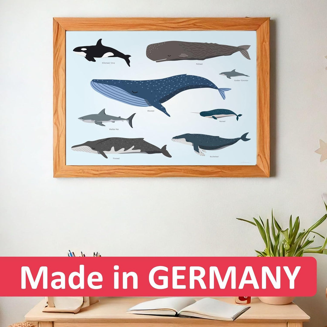 Kinder Lernposter - Tiere der Meere - Wal Delfin Orca Hai - in 3 Grössen - Wanddeko Kinderzimmer Pos