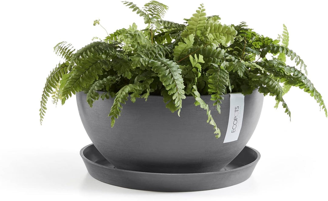 ECOPOTS Pflanzschale Blumentopf Brüssel Grau - Durchmesser Ø 30 cm rund gross - Pflanzentopf aus Rec