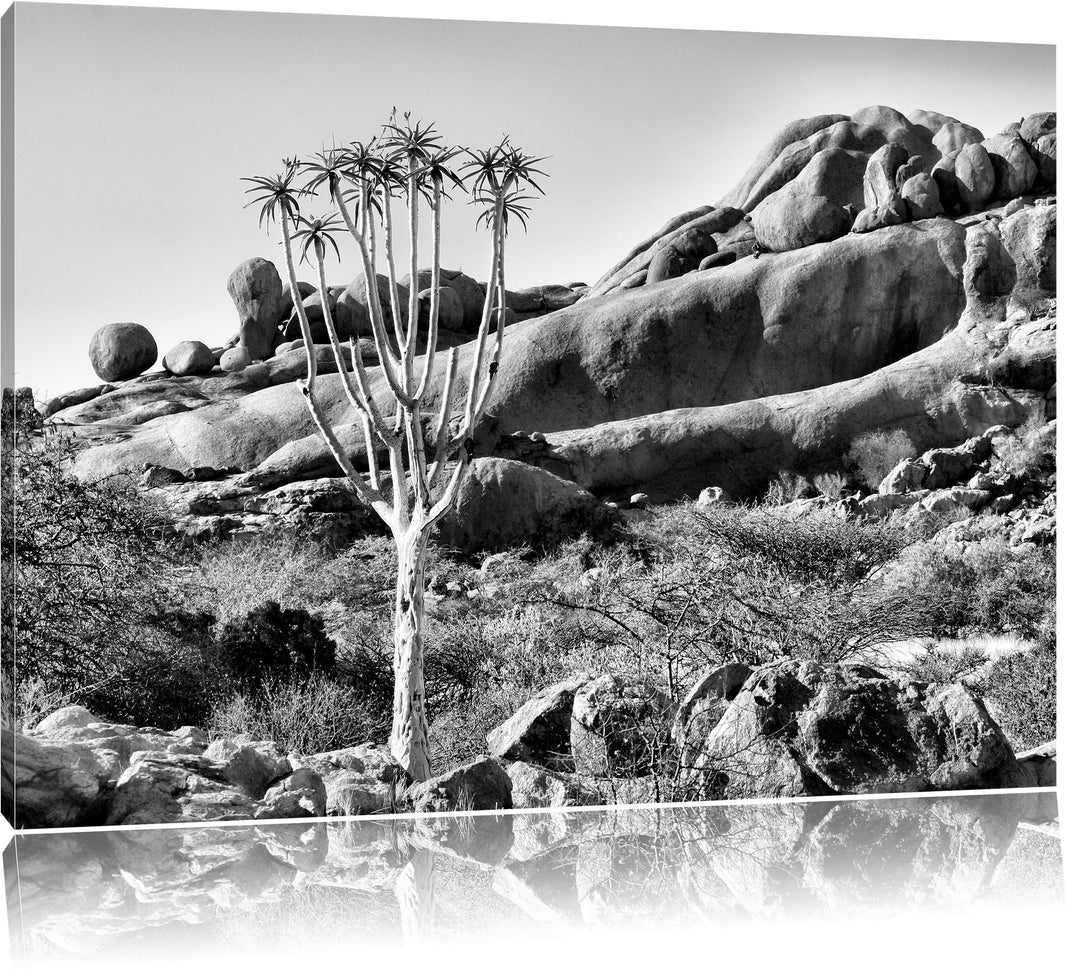 Pixxprint Monocrome, aussergewöhnlicher Baum im Steingebirge, Format: 100x70 auf Leinwand, XXL riesi