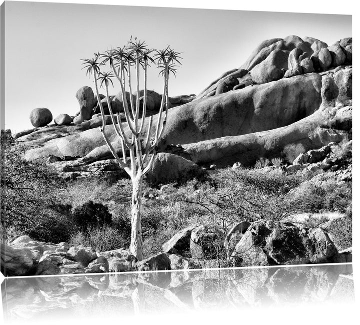 Pixxprint Monocrome, aussergewöhnlicher Baum im Steingebirge, Format: 100x70 auf Leinwand, XXL riesi