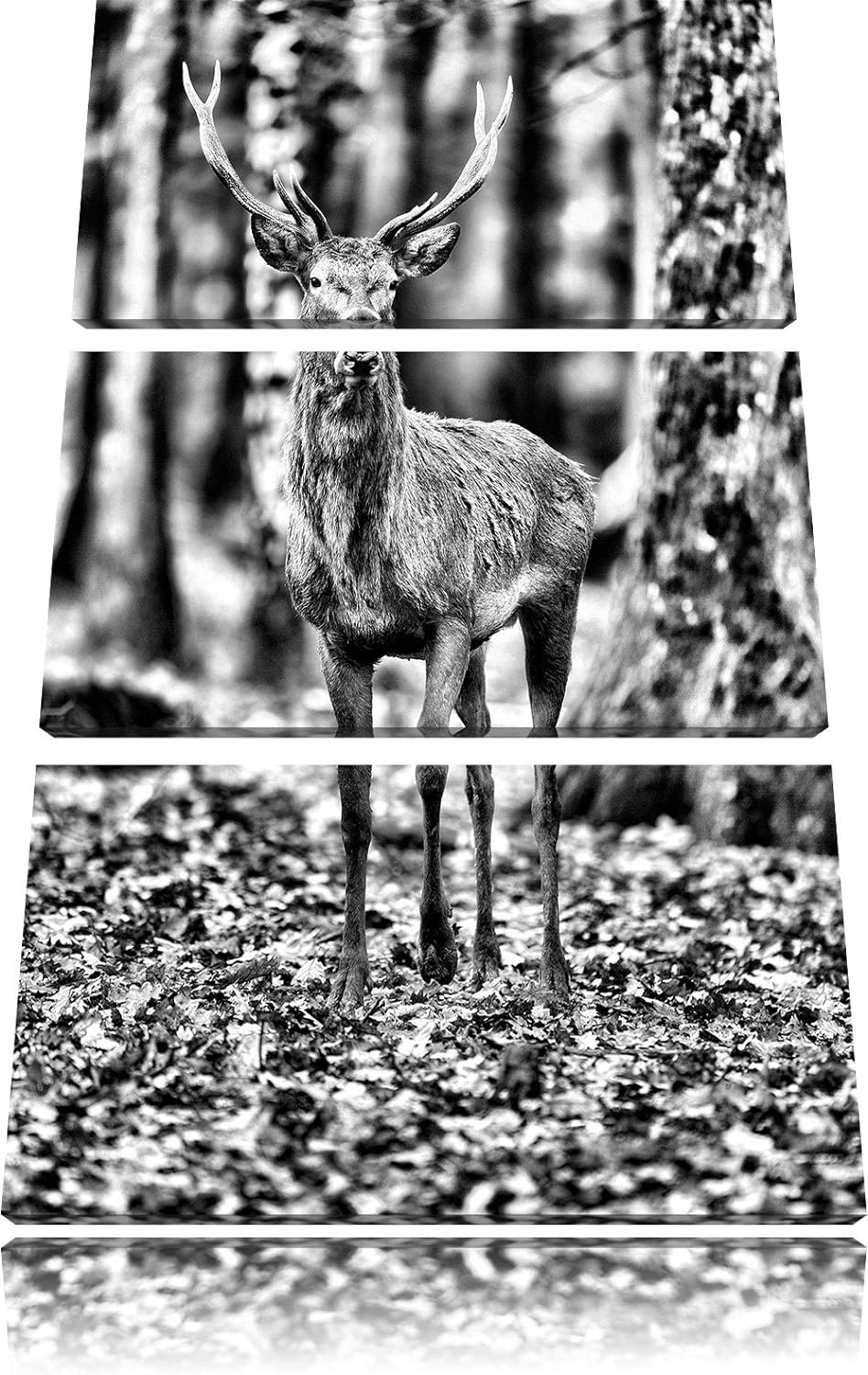 Pixxprint Schöner Hirsch im Wald als Leinwandbild/Grösse: 3 Teilig (120x80) cm/Wandbild/Kunstdruck/f