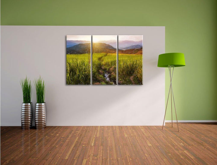 Pixxprint Reisfeld Plantage in Asien als Leinwandbild/Grösse: 3 Teilig (120x80) / Wandbild/Kunstdruc