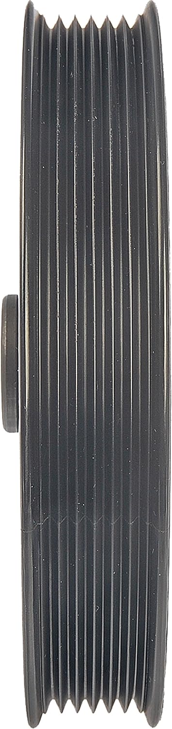 Dorman 300-101 Servolenkungsrolle.