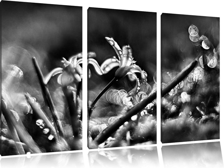 Pixxprint Wiesenblumen Morgentau / 3-Teilig/Gesamtmass 120cm Leinwandbild bespannt auf Holzrahmen/Wa
