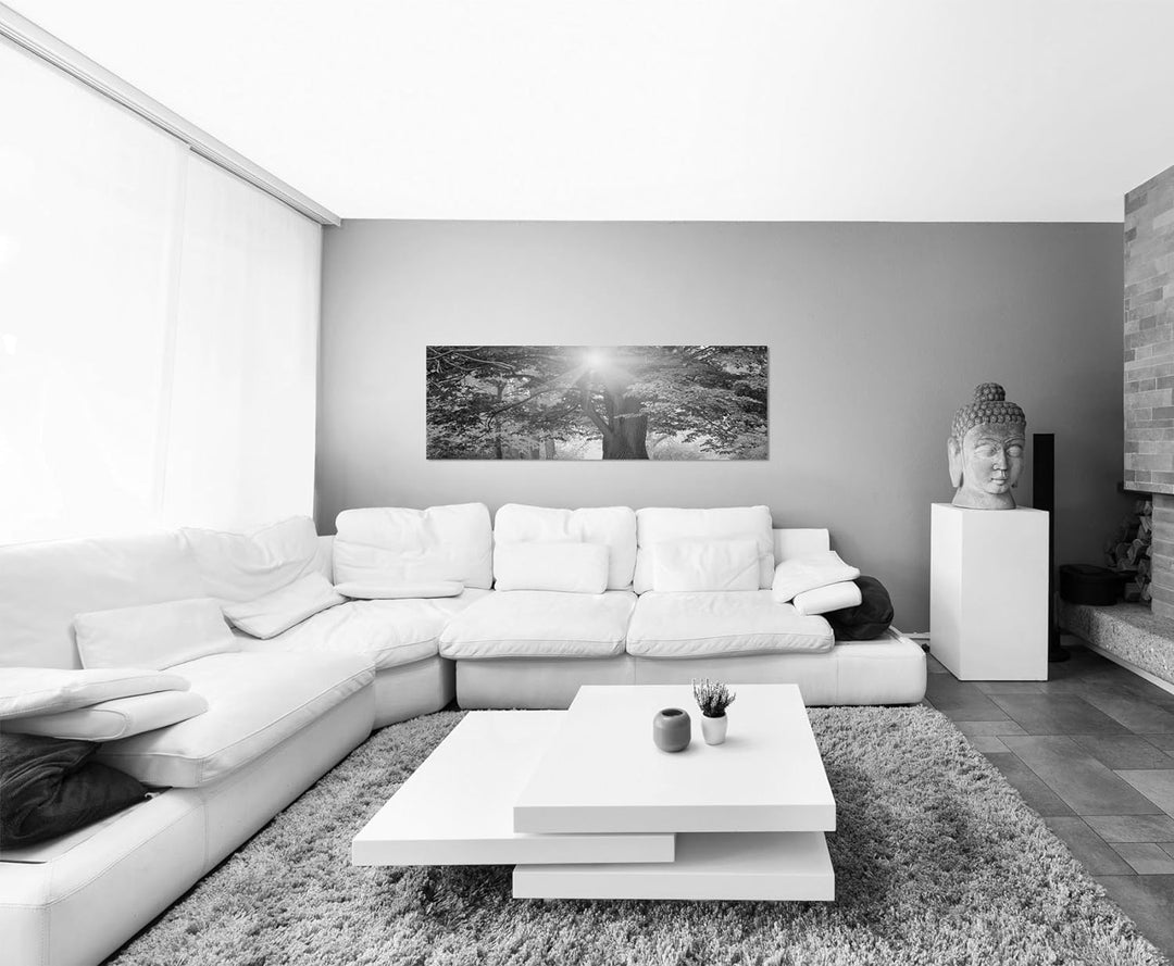 Paul Sinus Art Leinwandfoto als Panorama SCHWARZ/Weiss 120x40cm Park Bäume Herbst Blätter Sonnenlich