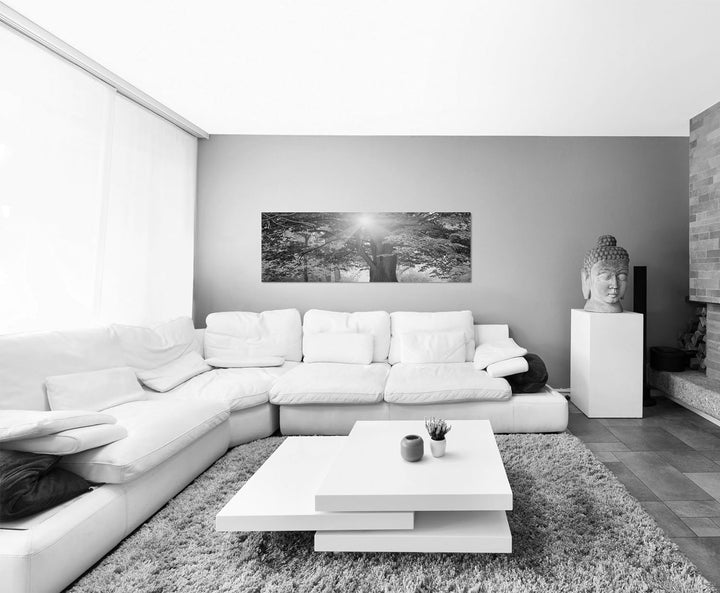 Paul Sinus Art Leinwandfoto als Panorama SCHWARZ/Weiss 120x40cm Park Bäume Herbst Blätter Sonnenlich
