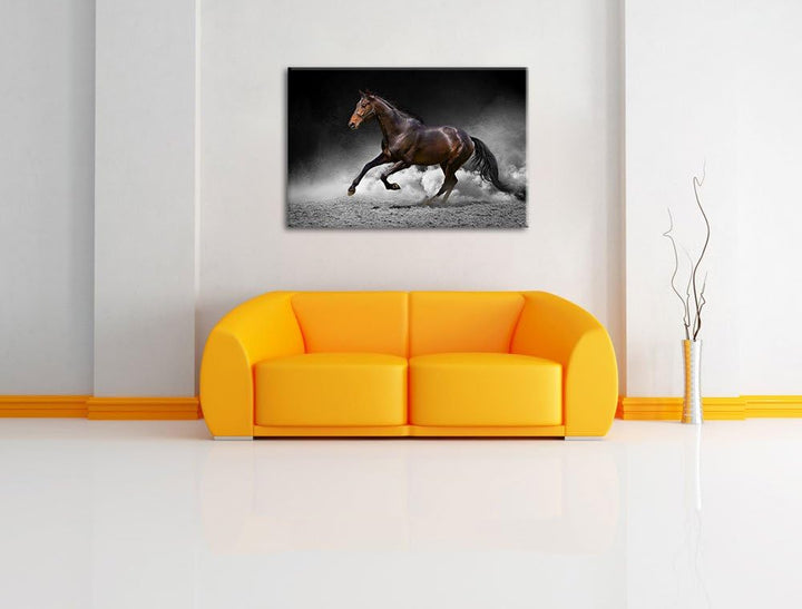prächtiger Hengst im Sand schwarz/weiss Format: 100x70 auf Leinwand, XXL riesige Bilder fertig gerah