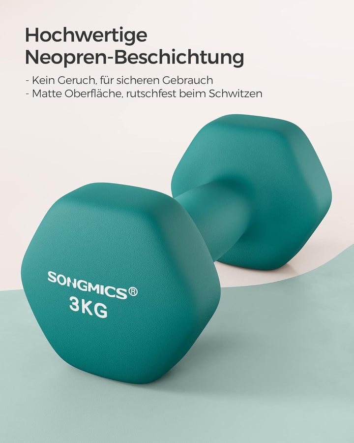 SONGMICS Hanteln, 2er Set,Hantelset, Kurzhanteln, Hexagon, Neopren-Beschichtung, Krafttraining, Work