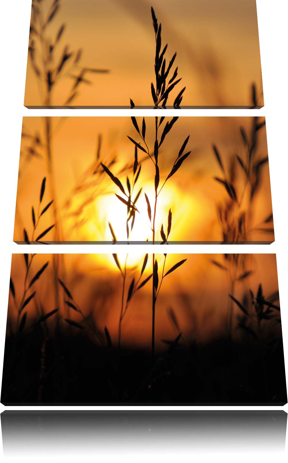Pixxprint Gras bei Sonnenuntergang 3-Teiler Leinwandbild 120x80 Bild auf Leinwand