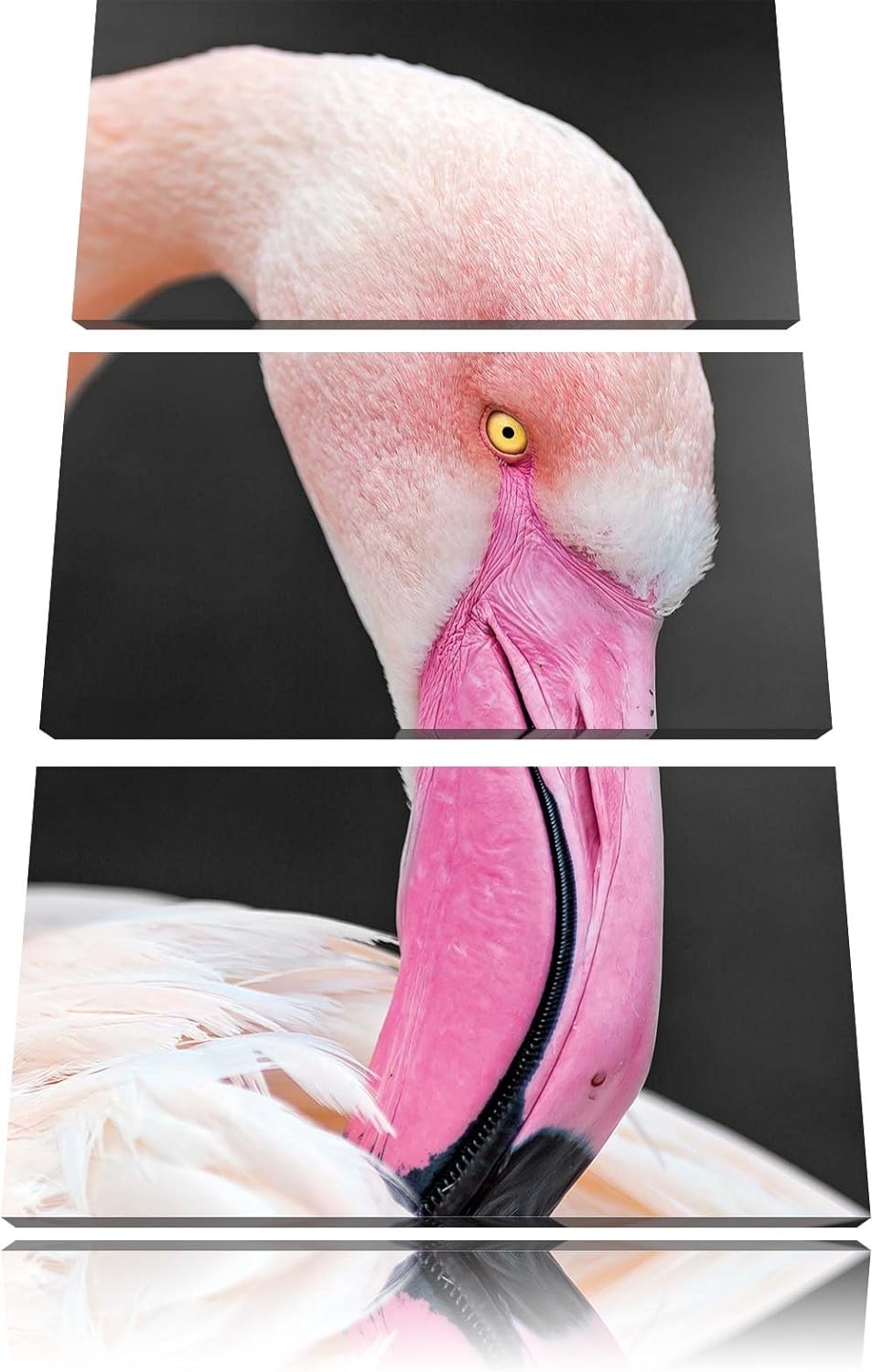 Pixxprint schöner Flamingo putzt Sein Gefieder als Leinwandbild/Grösse: 3 Teilig (120x80) / Wandbild