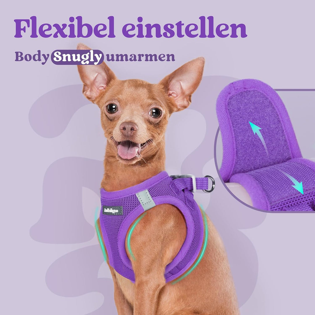 rabbitgoo Hundegeschirr Kleine Hunde, Step-in Welpengeschirr Weich Mesh für Spaziergänge, Atmungsakt