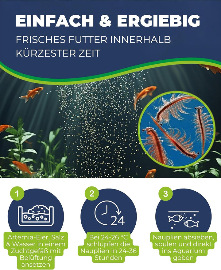 Hobby 21430 Artemia Eier 150 ml