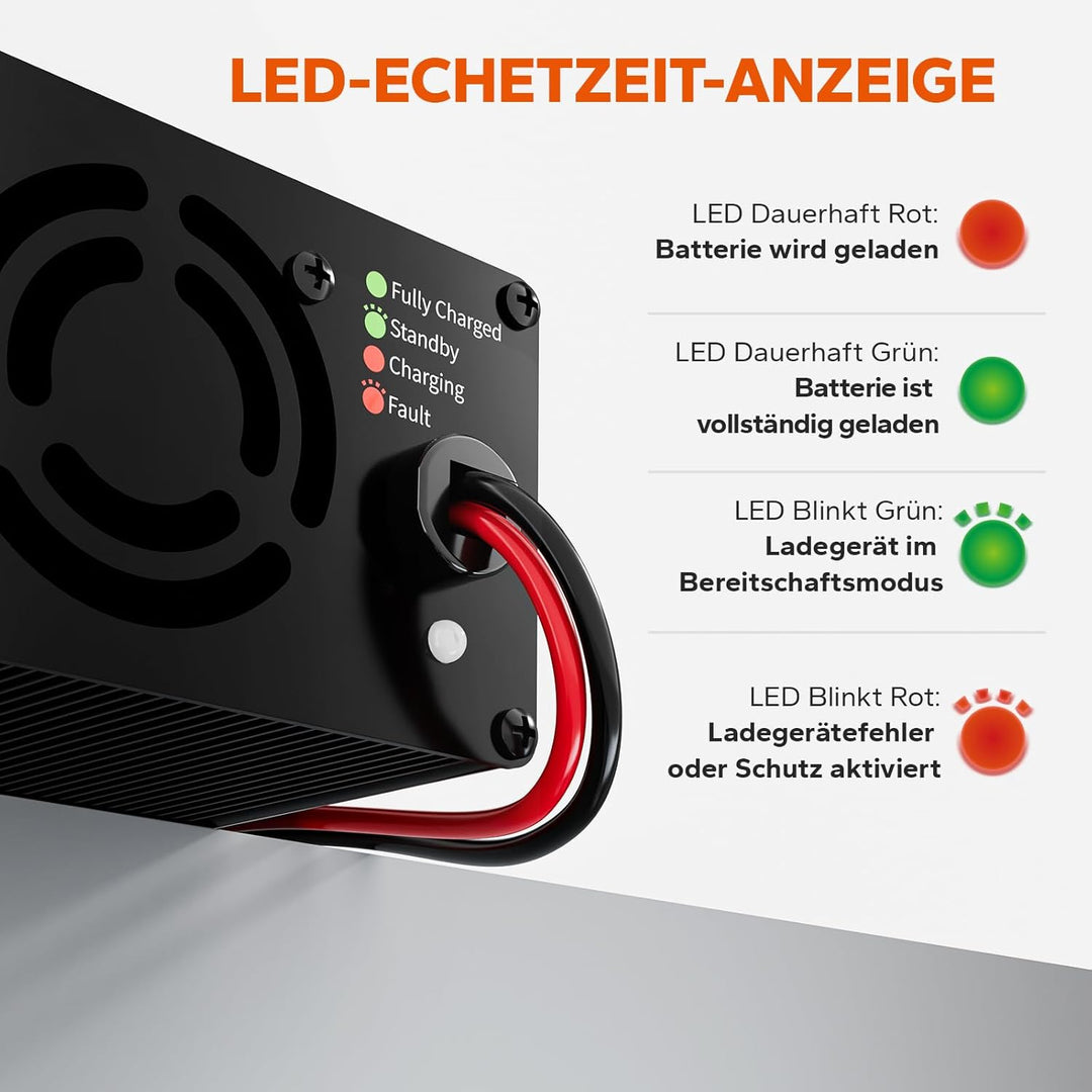 LiTime 14.6V 20A Lithium Batterieladegerät, LiFePO4 Ladegerät 12V AC-DC, Smart Charger mit Anderson