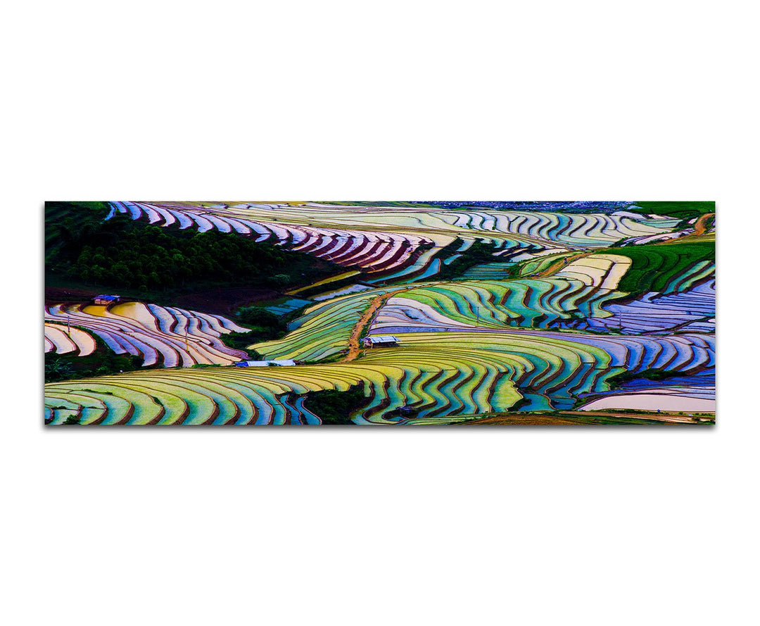 Paul Sinus Art Panoramabild auf Leinwand und Keilrahmen 150x50cm Vietnam Reisterrassen bunt