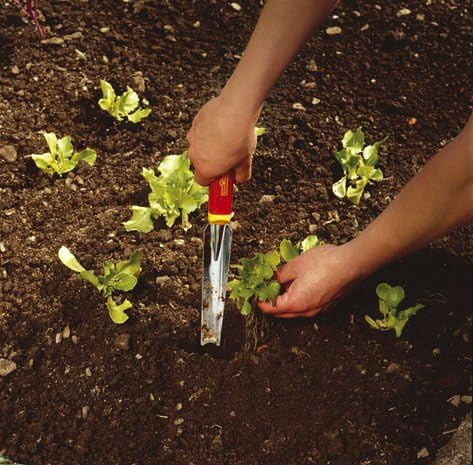 WOLF-Garten 3732635 Classic Mini-Set P 235