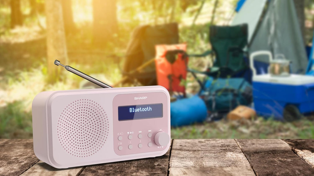 SHARP DR-P420 Portables Digitalradio (DAB/DAB+/FM mit RDS, USB, Bluetooth 5.0, 3,5mm Klinke Wecker-F
