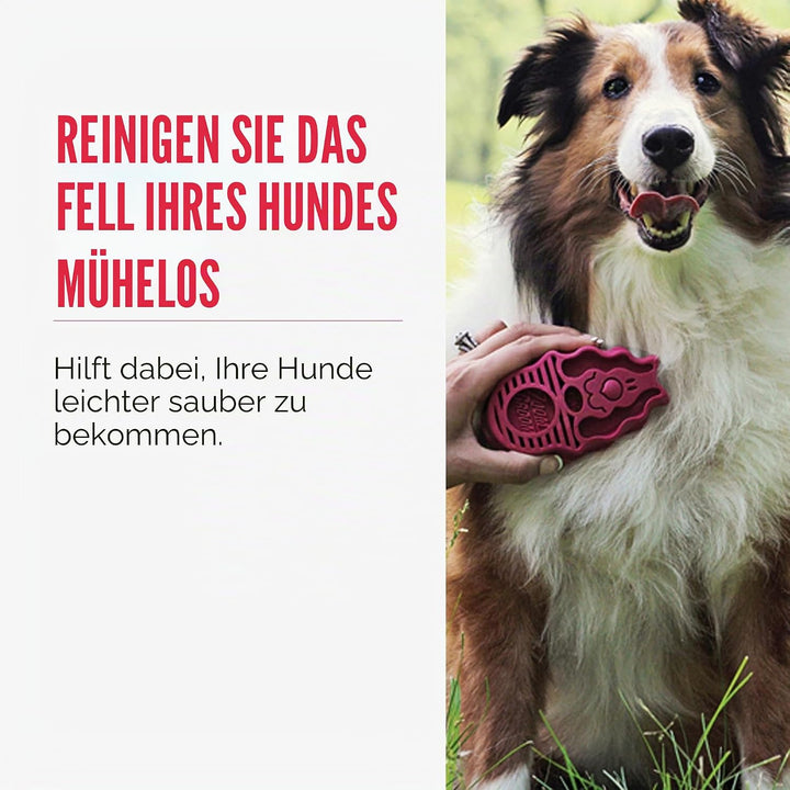 KONG – ZoomGroom – Bürste zur Hundepflege und zum Shampoonieren – Für Grosse Hunde (Rot) Rot Standar
