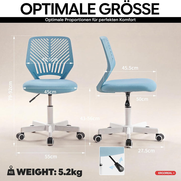 25W01 Ergonomischer Bürostuhl ohne Armlehne, Bürostuhl mit Rollen & Höhenverstellung, Bürostuhl Cozy
