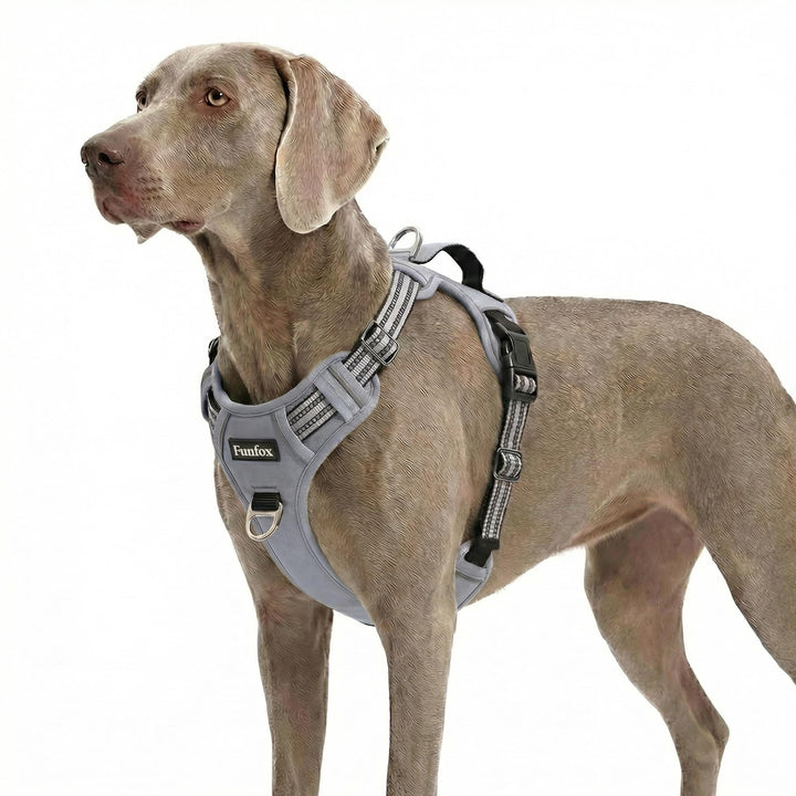 Funfox Hundegeschirr Grosse Hunde [XL] - Verstellbares Anti-Zug Brustgeschirr mit Griff & Reflektors