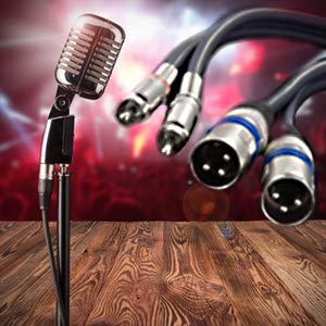 HTRUIYATY 2×XLR Männlich Kable auf 2×Cinch Kabel RCA kable, HiFi Stereo Audio Verbindung XLR Patchka