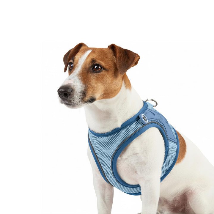 Max & Molly Hundegeschirr Matrix 2.0 Ocean/S als Air Vest Geschirr, Step-In Geschirr mit Gotcha! Sma