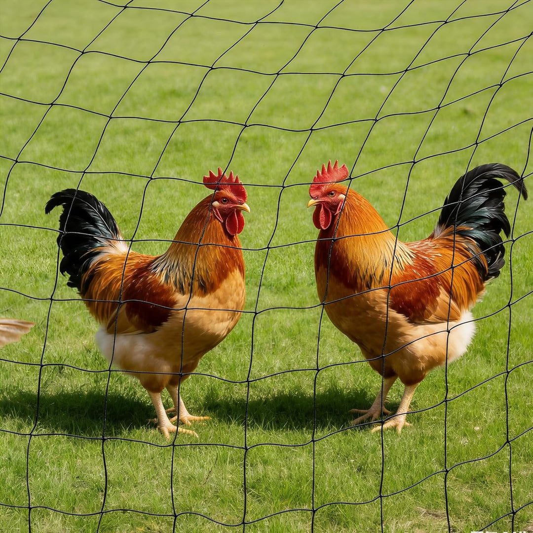Vogelschutznetz 30×15m aus widerstandsfähigem Polyester, 5×5cm Maschenweite, UV-beständig und wetter