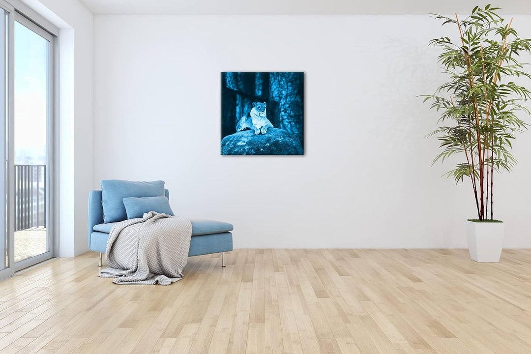 deyoli erhabene stolze Löwin Format: 60x60 Effekt: Monocrome Blau als Leinwand, Motiv fertig gerahmt