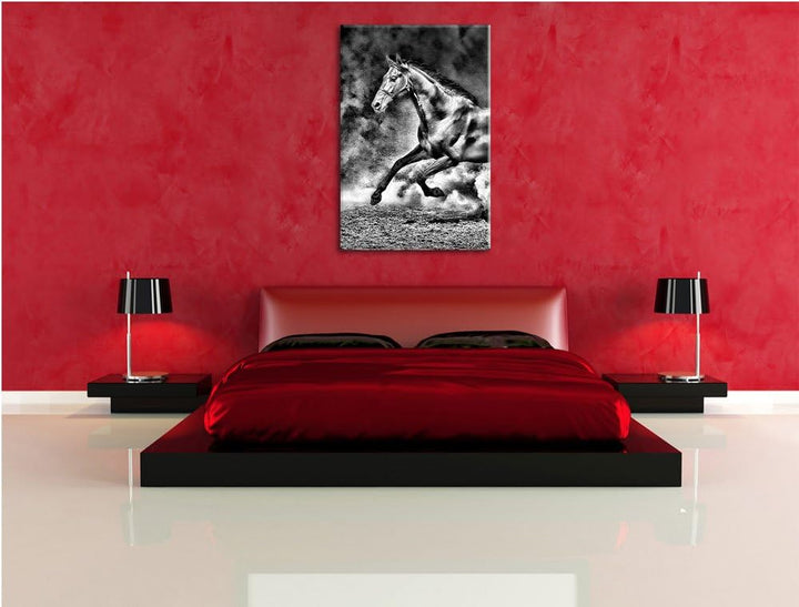 Pixxprint Dark Schwarzer Hengst als Leinwandbild/Grösse: 100x70 / Wandbild/Kunstdruck/fertig bespann