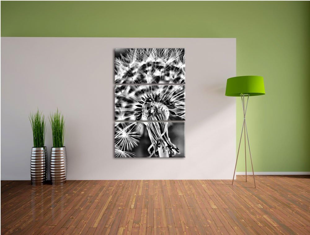 Pixxprint Marienkäfer auf Pusteblume als Leinwandbild/Grösse: 3 Teilig (120x80) cm/Wandbild/Kunstdru