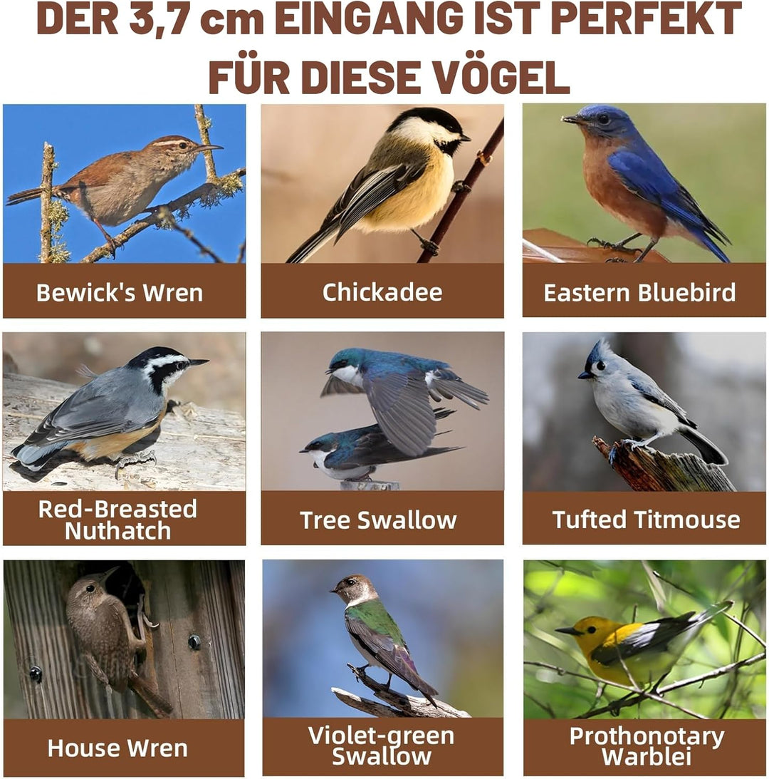 Vogelhaus-Set aus Holz zum Selbermachen, für Erwachsene zum Bauen, Outdoor-Holzbearbeitung, Basteln,