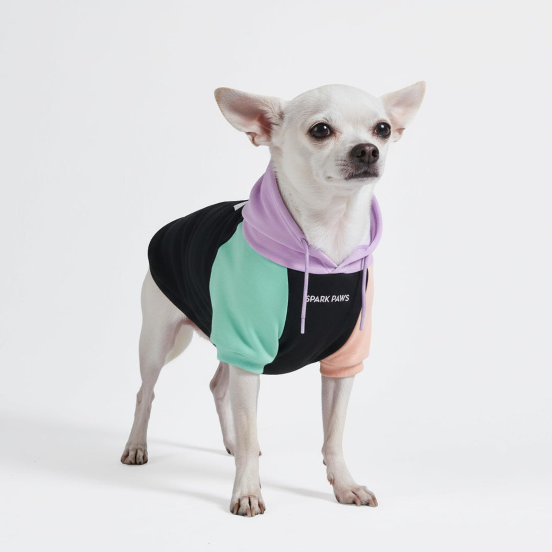 Spark Paws Hunde Hoodie Sweatshirt Pullover - Premium Qualität, weich, Komfortabel und passend für g