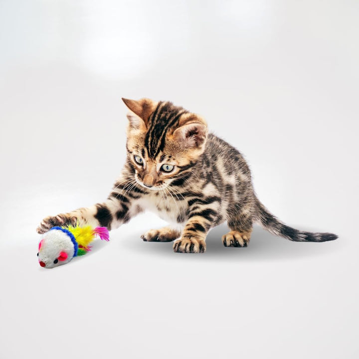Lyra Pet® 20 Stück Spielmäuse Spielmaus Spielzeug Katze Rassel Plüsch Fell